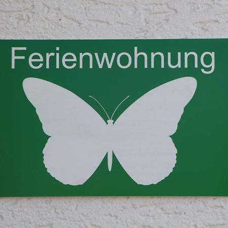 Ferienwohnung Schmetterling Trendelburg Bagian luar foto